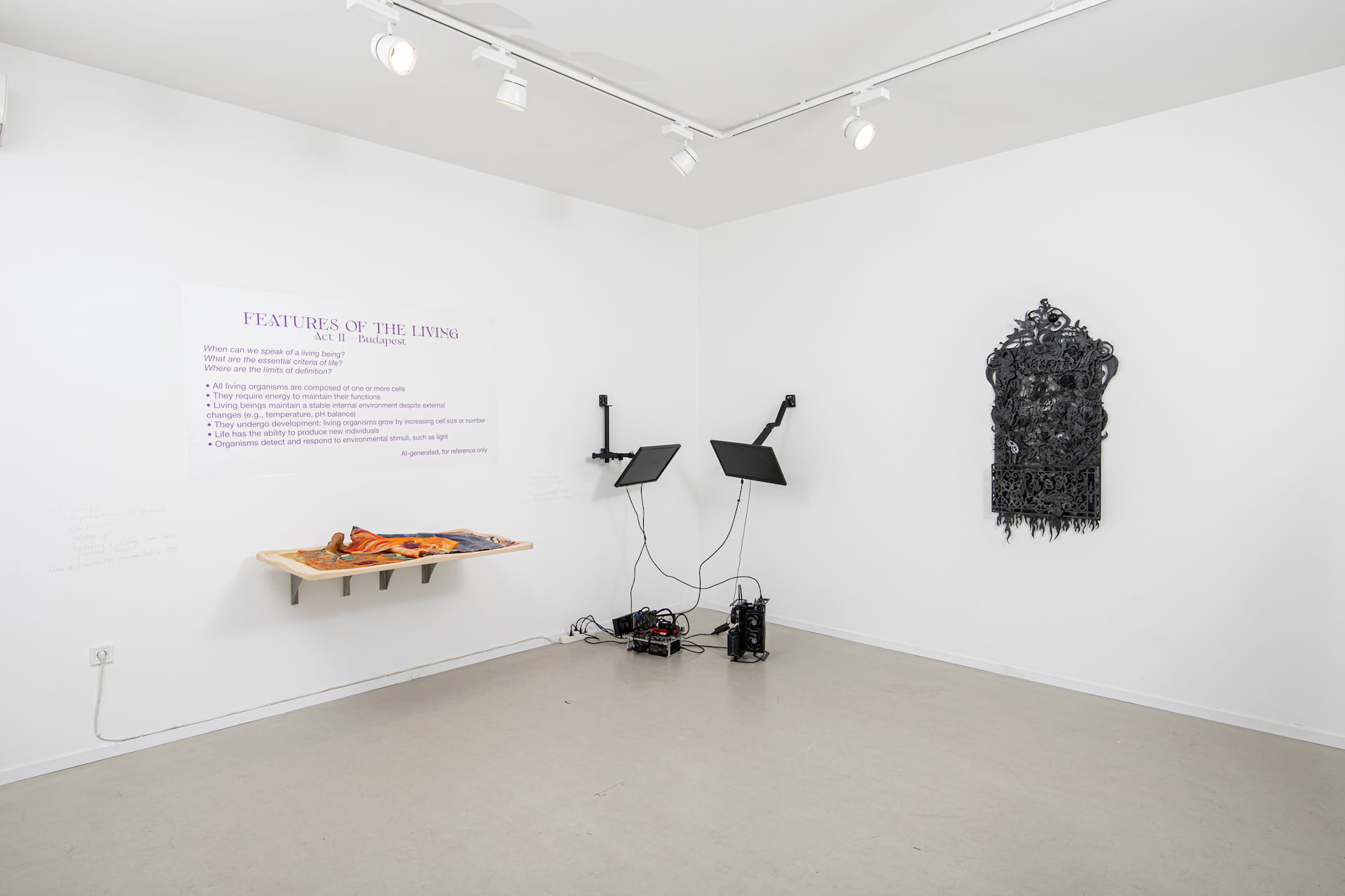 Features of the Living - Photo by Barnabás Neogrády-Kiss